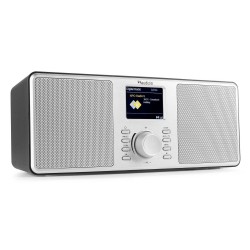 DAB radio - Audizio Monza - Stereo DAB+ en FM radio met Bluetooth - 50W - Zilver