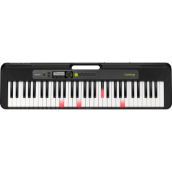 Casio Casiotone LK-S250